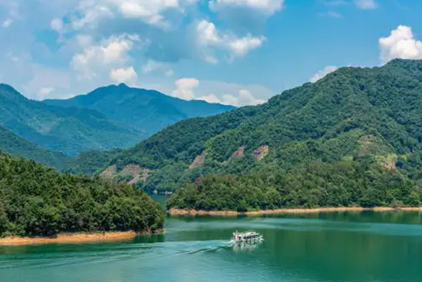 c06bd79b-d1eb-4f72-9032-a18e01508e75